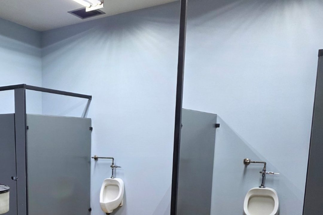 Completed charcoal washroom partitions and urinals